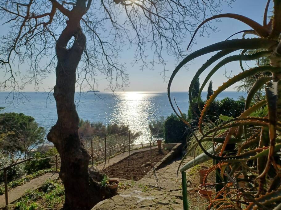 Brezza Marina - Appartamento In Villa Fronte Mare Trieste Exterior photo